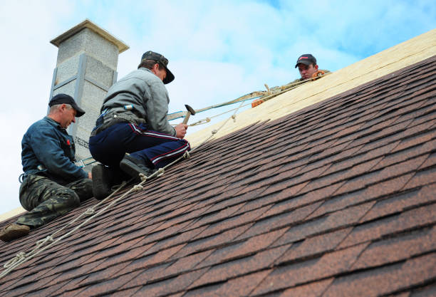 Best Roof Waterproofing Services  in Charlestown, IN
